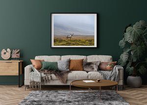 Lone reindeer in muted tundra colours with bright moss in the foreground