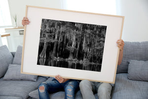 Monochrome swamp woodland with flared tree bases and reflections