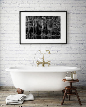 Dark southern wetland forest with textured trunks and pale moss