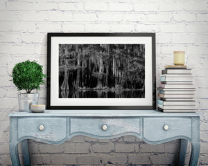 Cypress trees reflected in shadowed water beneath trailing moss