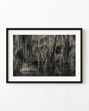 Spanish moss drapes over cypress trees reflected in still swamp water.