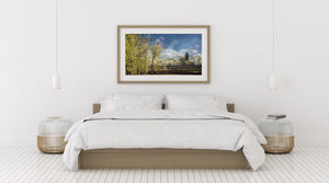 Terraced fields lead toward flowering trees and rugged mountains.