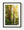 Sunlight filters through tall California redwoods and lush green forest foliage.
