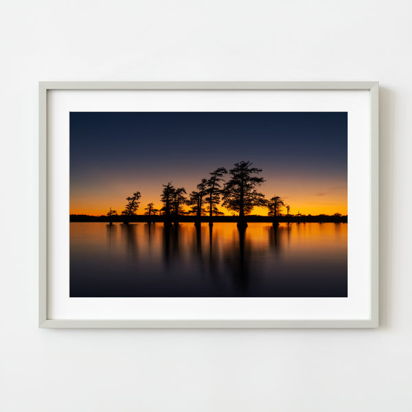 Sunset in the swamps of Caddo Lake | Photo Art Print fine art photographic print