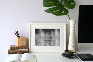 Seal head emerges among gentle ripples in a monochrome wildlife portrait.