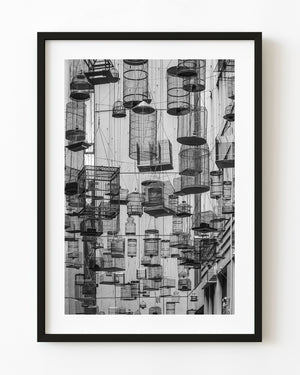 Empty birdcages hang above Sydney’s Angel Place in a black and white urban photograph