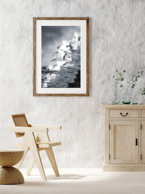 Monochrome abstraction combines pale roof shells, dark steelwork and water reflections.
