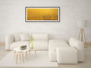 Layered grass stems create a natural pattern along a luminous golden horizon.