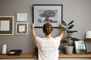 Serengeti Tanzania baobab tree photographed in black and white