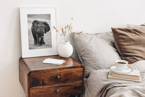 close frontal view of African elephant missing one tusk black and white