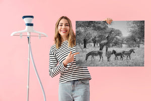 african wildlife composition with giraffe and zebras monochrome