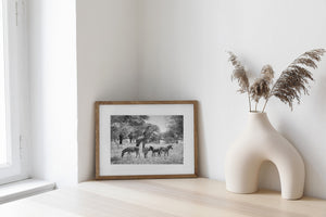 giraffe and zebra group in open grassland tanzania black and white