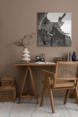 Leopard on elevated rock formation Serengeti