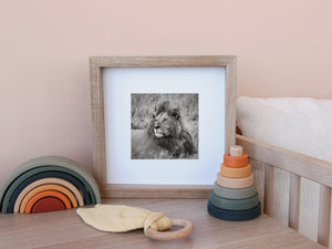 Black and white Serengeti lion portrait