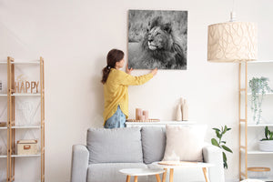 Close up of mature male lion in tall grass