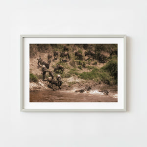 Wildebeest herd descending riverbank at Mara River Serengeti