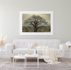 A large textured baobab trunk stands before distant trees and hazy hills.