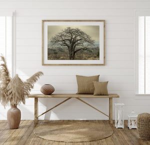 Grey-green sky and distant savanna surround an old baobab tree in Tarangire.