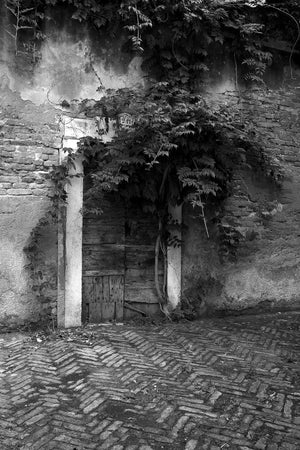 Leafy vines cover a rough wooden doorway framed by pale stone and exposed brick.