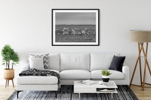 White slatted chairs sit in grass above the exposed St Lawrence shore.