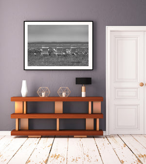 Monochrome river landscape with empty chairs, tidal flats and distant hills.