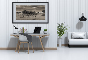 Wildebeest running through open grassland