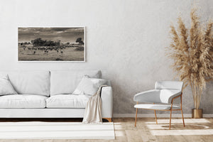 Fine art wildlife migration photograph