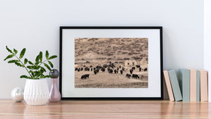 Tibetan pastoral scene with yaks moving beside weathered rural walls.