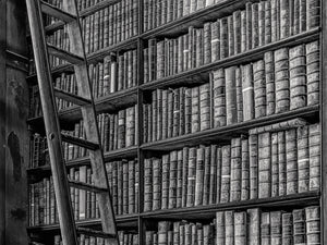 Books in Trinity College Library | Wall Art