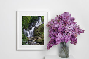 White cascades over dark rock in a green Irish forest