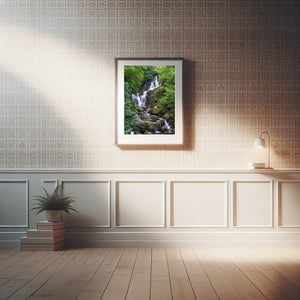 Green woodland framing cascading water and moss-covered stones in Ireland