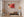 Red Train in Motion at Dresden Station Fine Art Photograph