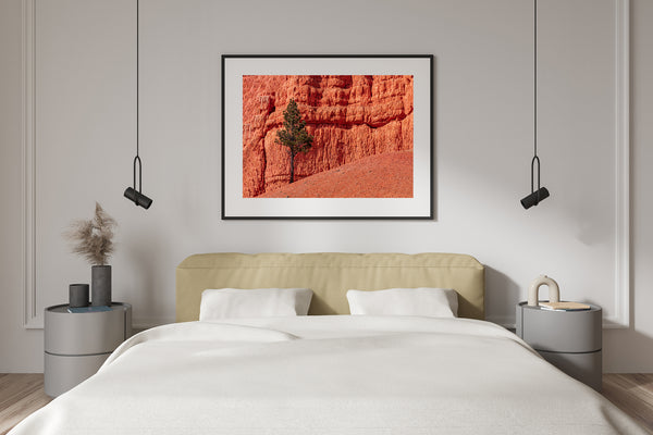 Nature wall art desert scene