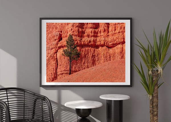 Arizona red sandstone art