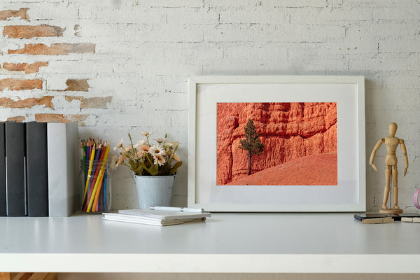 Tree against vivid desert backdrop