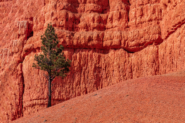 Red rock desert wall art