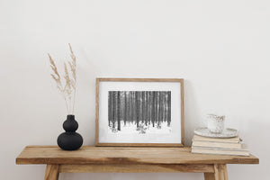 Monochrome image of a quiet snow filled Haliburton forest