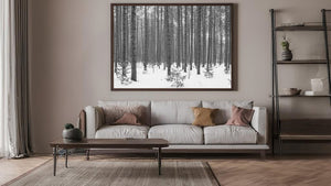 Dense tree stand in Ontario captured in soft winter light