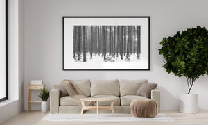 Snowy forest landscape with repeating vertical tree patterns