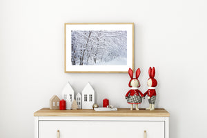 Haliburton woodland with snow laden tree limbs