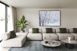 Close packed trees and branches blanketed in white snow