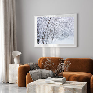 Fresh snowfall on thin forest trees creating intricate patterns