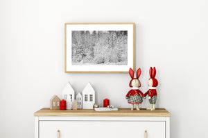 Dense woodland branches coated in snow