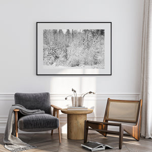 Ontario forest after heavy winter storm