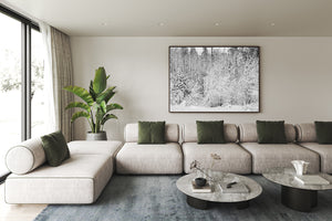 Monochrome winter forest scene Canada