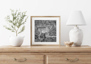 Afrikaanse dieren in het wild Wandkunst cheetah-paar