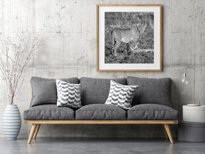 Cheetah-metgezellen Serengeti Fine Art muur afdrukken