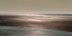 Wide Alaska coastline with small brown bears near the waterline