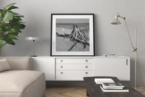 Monochrome seascape with driftwood and open horizon