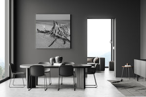 Serene coastal driftwood scene in black and white photography